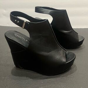 Charles David Open Toe Wedge Sandals, 7.5